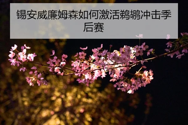锡安威廉姆森如何激活鹈鹕冲击季后赛